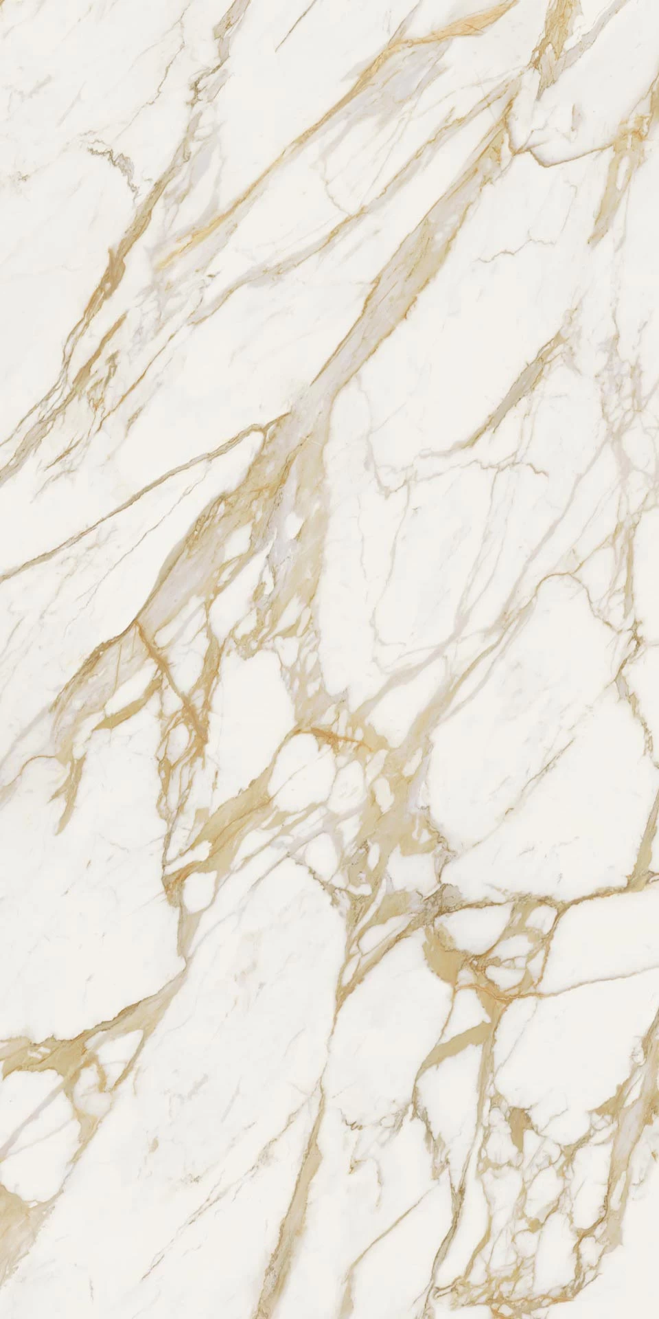 AtlasPlan CalacattaOro Polished 162x324 12mm ST