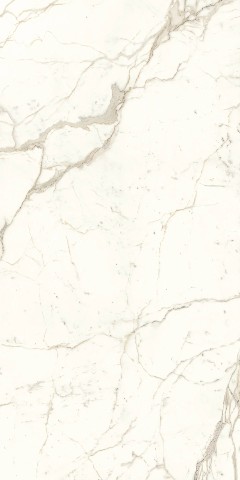 calacatta-prestigio-large-format-stoneware-tiles-atlas-plan