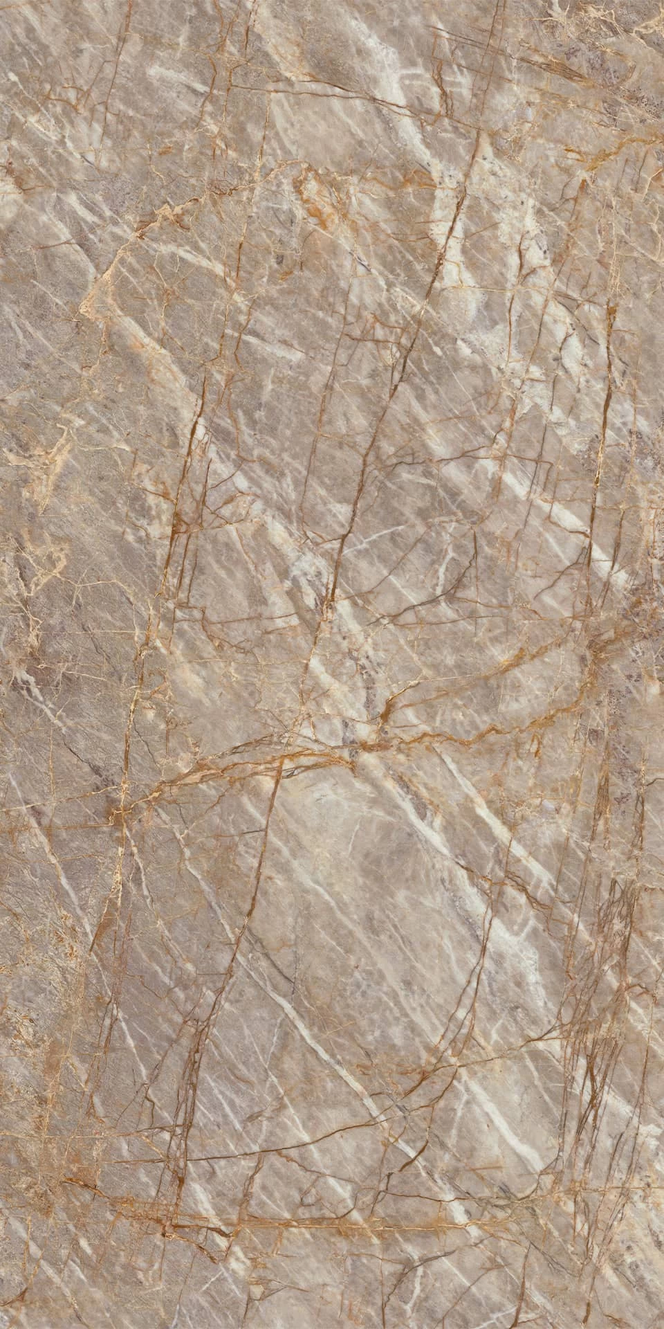 AtlasPlan Epic NaturalRoots Polished 162x324 12mm ST