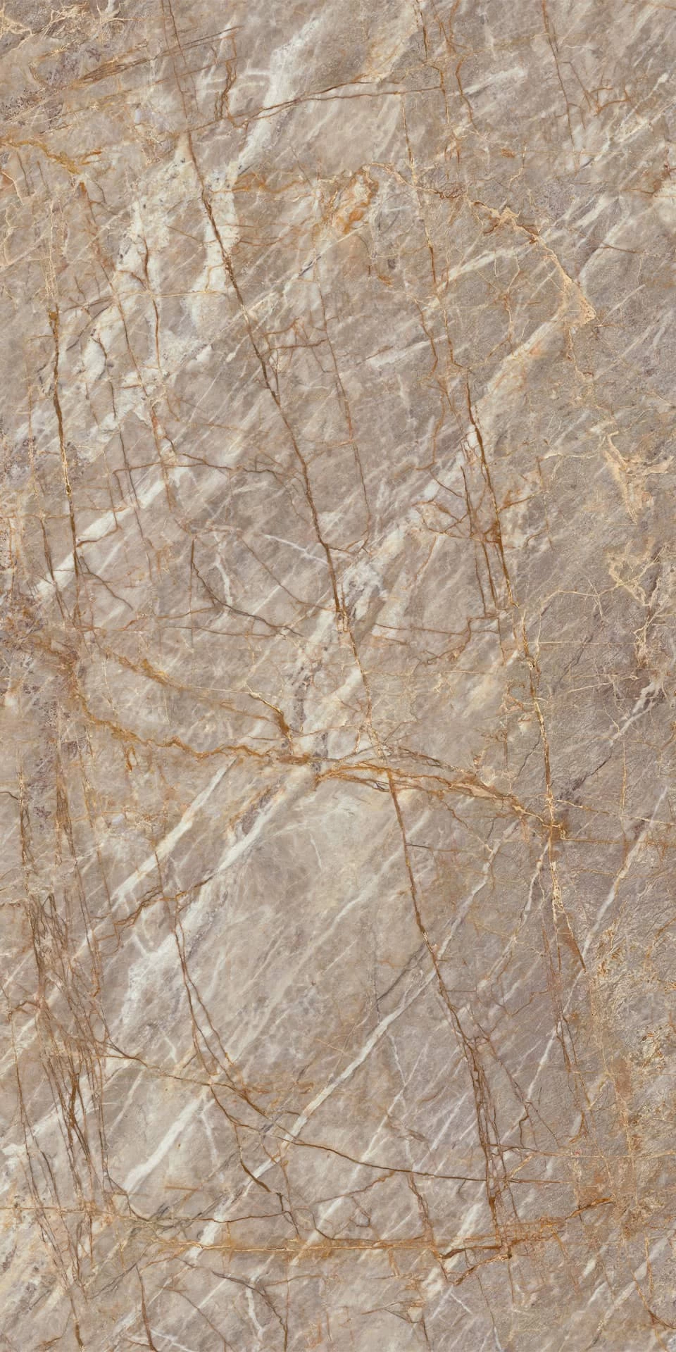 AtlasPlan Epic NaturalRoots Bookmatch Polished 162x324 12mm ST